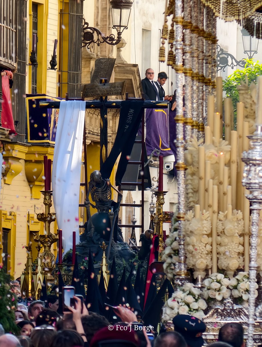 fcojborge's tweet photo. Pétalos para la canina de San Gregorio 

#Ssanta #Sevilla #Semanasanta https://t.co/5ZRlHIXLPz