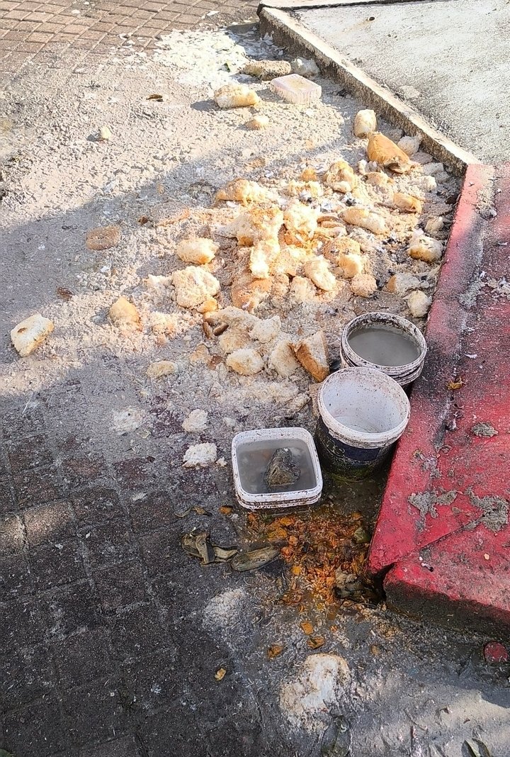 DilanferoXt tweet media