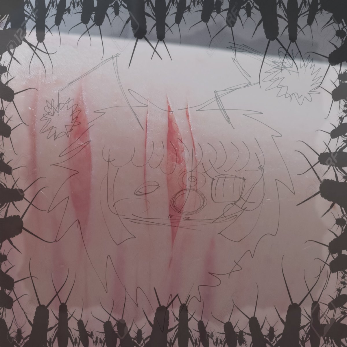 𓂃 ࣪˖ ִֶཐི༏ཋྀ󠀮| Bug | ཐིཋྀ ˖ ࣪⊹ tweet media