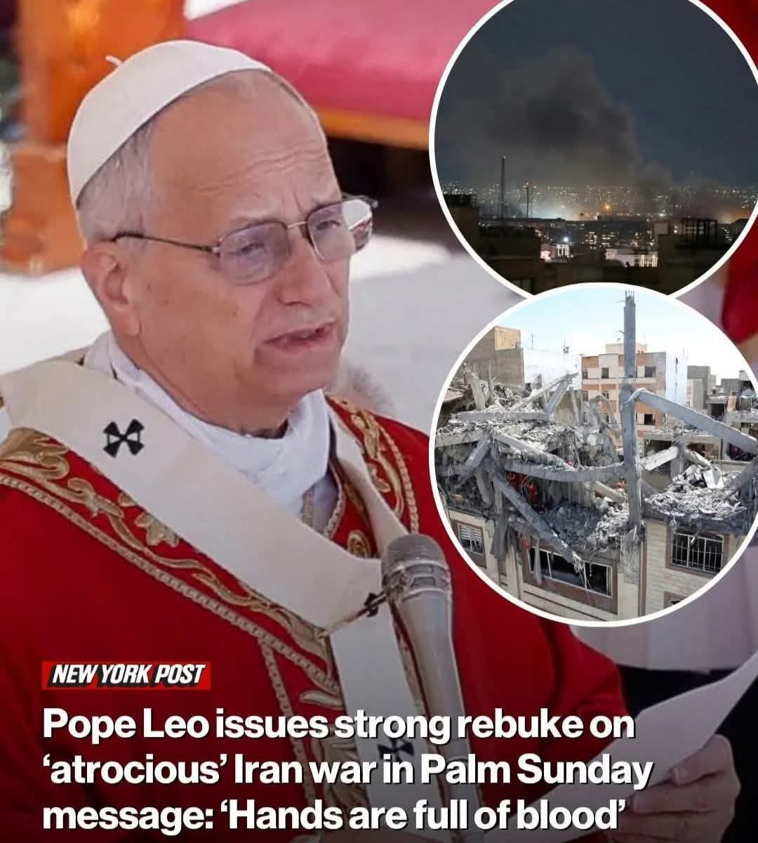 Ncole ✡︎ tweet media