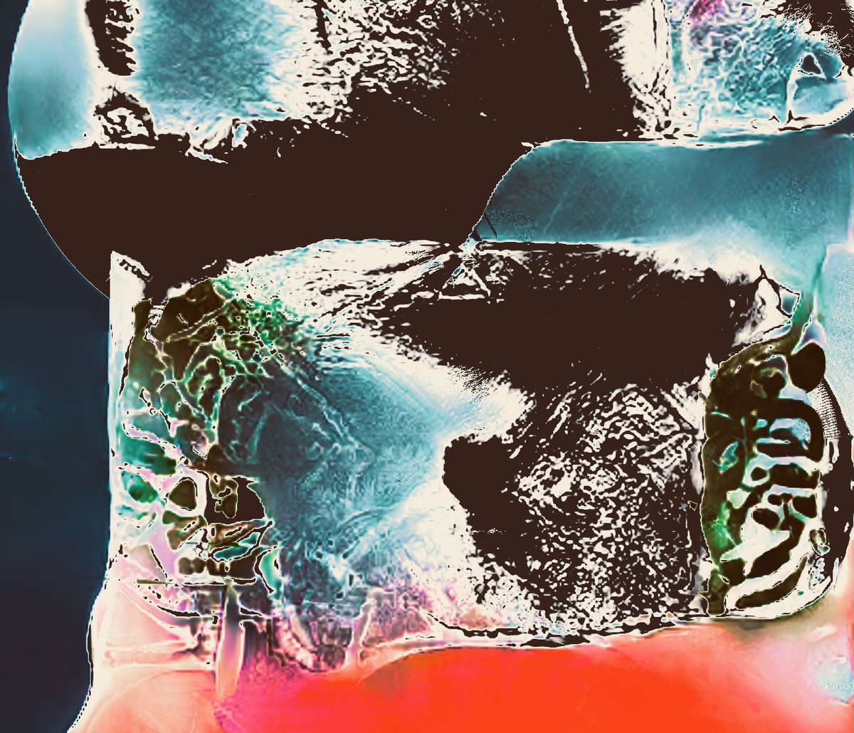 Evan Dando tweet media