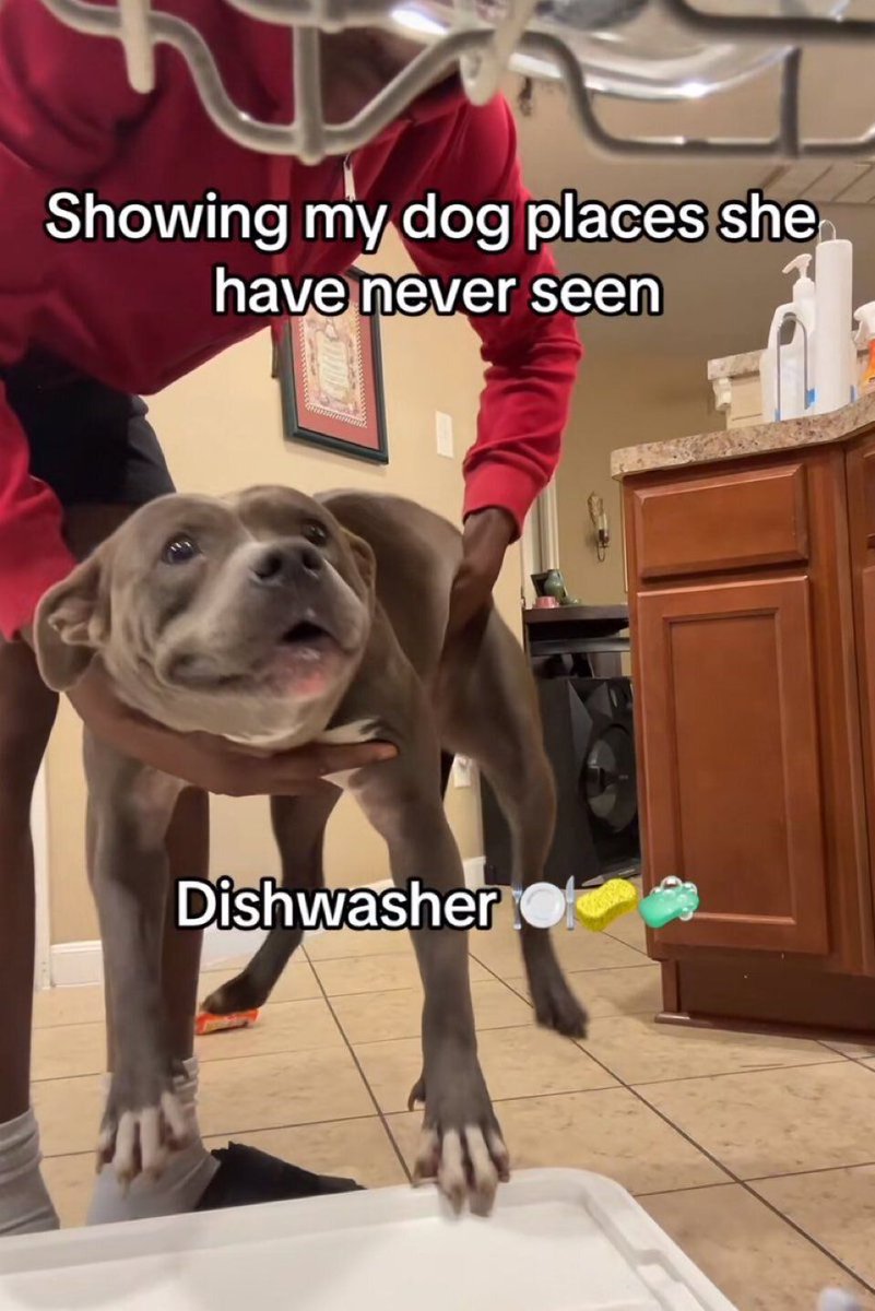 no context memes tweet media