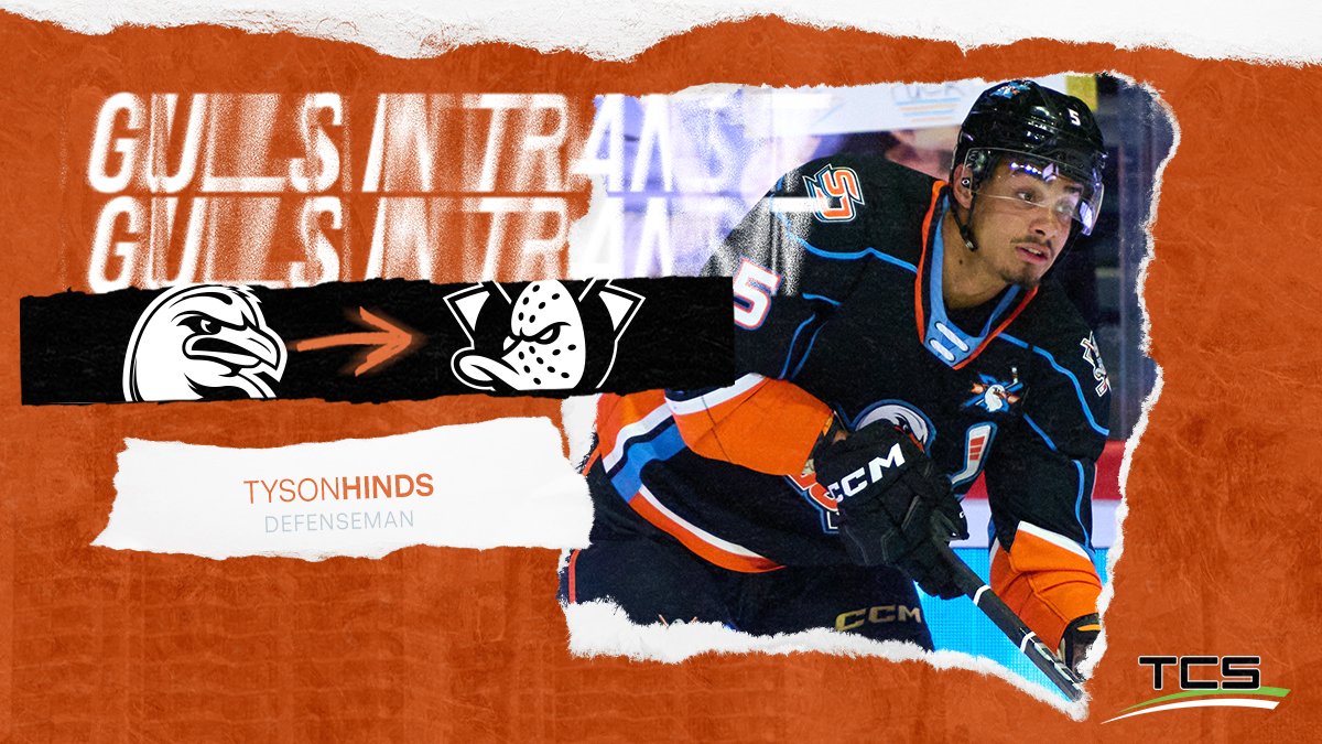 SDGullsAHL's tweet image. The Anaheim Ducks have recalled defenseman Tyson Hinds from our roster.
