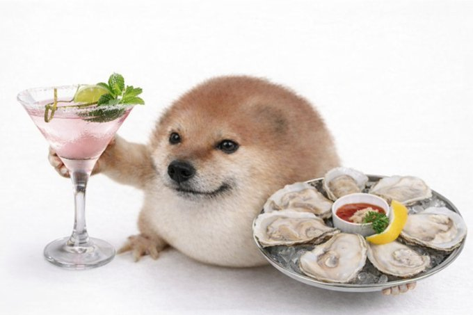 JonahTheWhale ( 🐳 , 🐳 ) tweet media