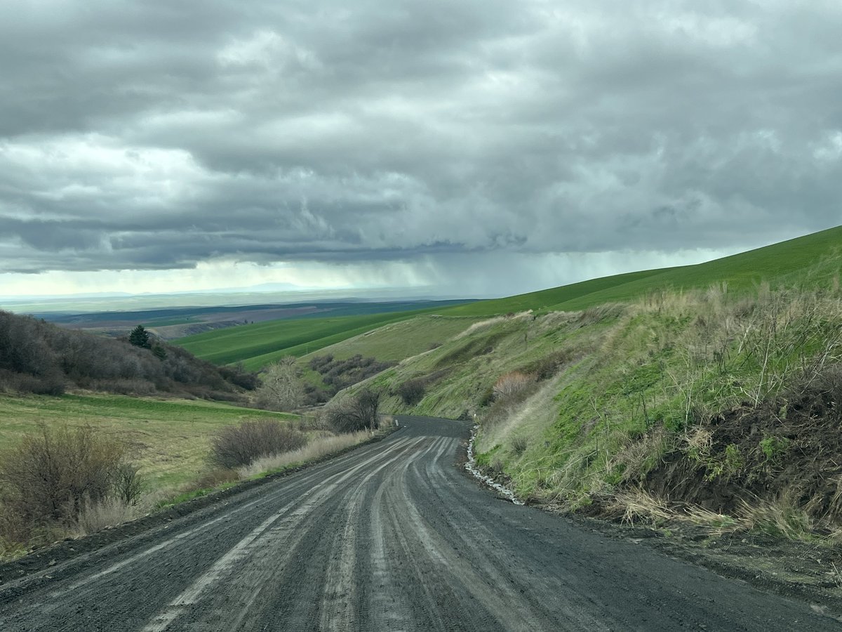 Sweet Tater 🇺🇸 tweet media