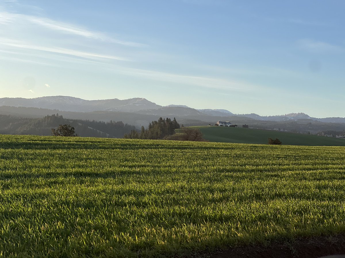 Sweet Tater 🇺🇸 tweet media