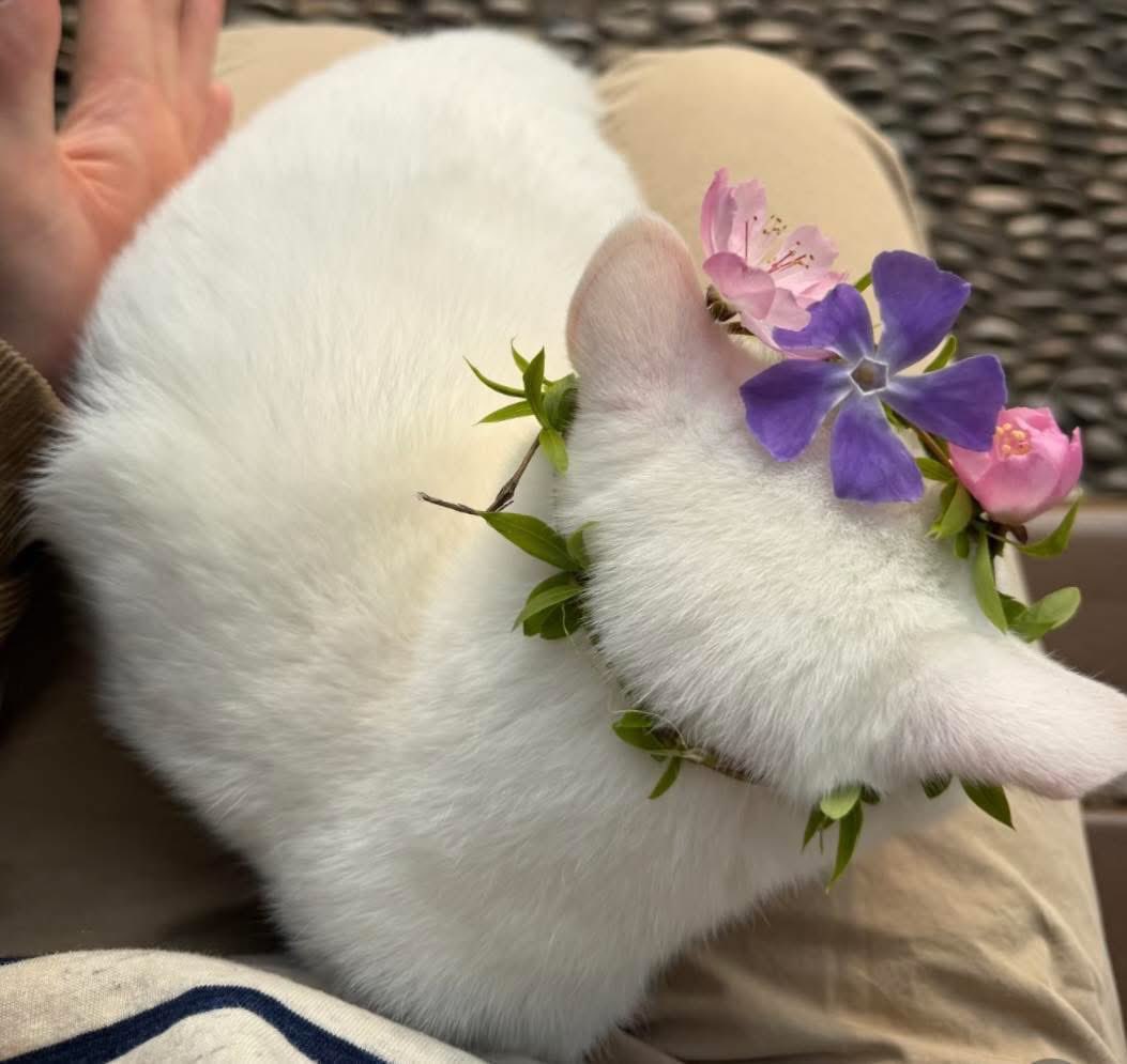 Purely Green tweet media