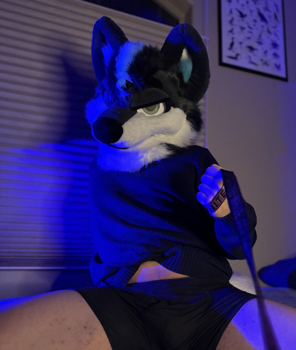 KiskaWolf tweet media