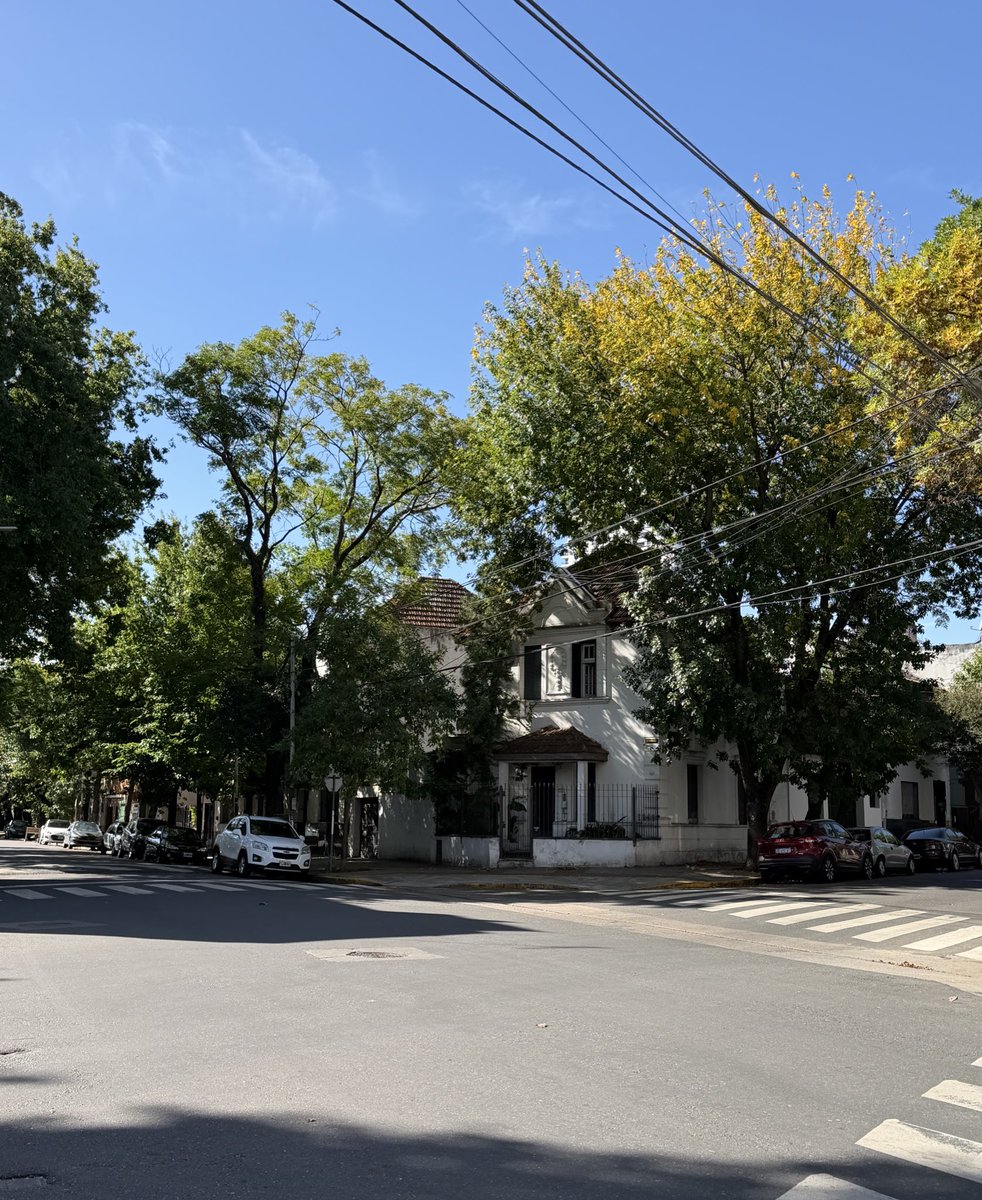 Super Pichón tweet media