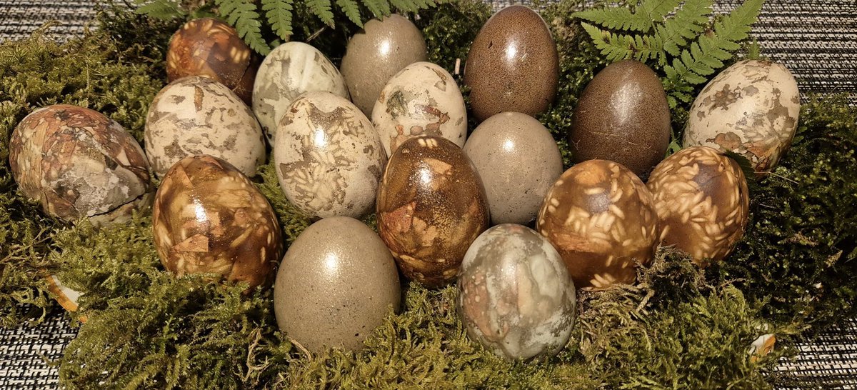 Sandis Gugāns 🇱🇻 tweet media