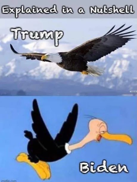 Austin Capps tweet media