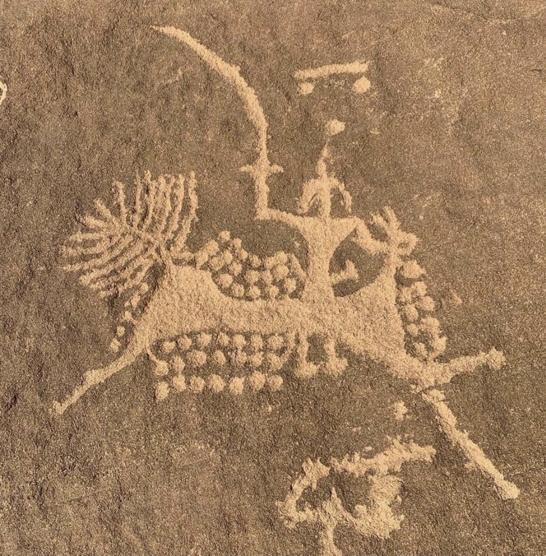 جاسر الرياحي 🇸🇦 tweet media