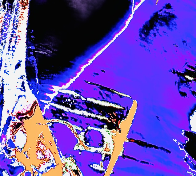 Evan Dando tweet media