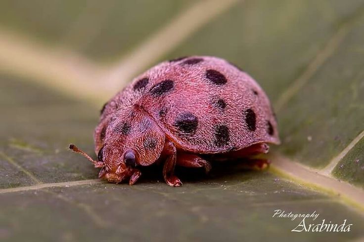 hawa ï๑ tweet media