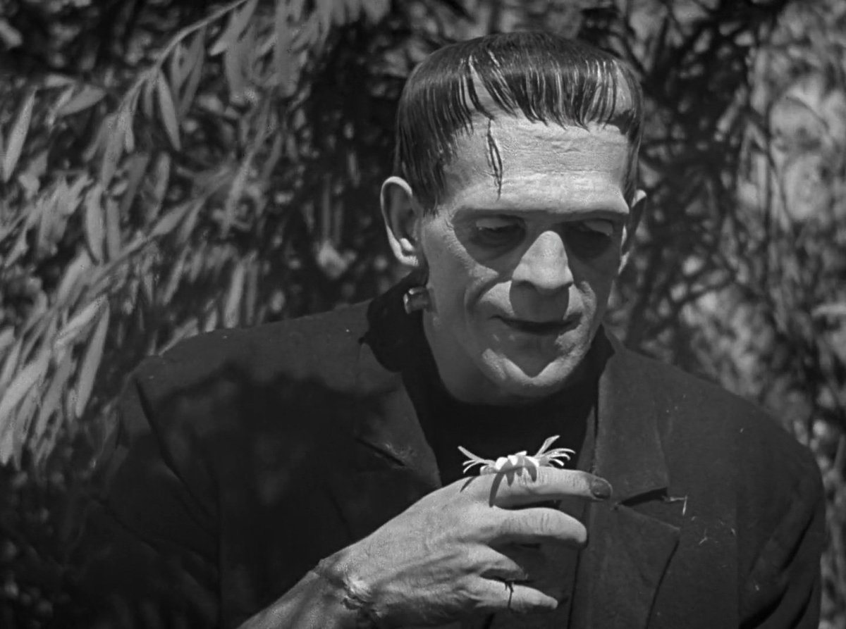 𝖁𝖆𝖒𝖕𝖞𝖗𝖎𝖆 𓋹 tweet media