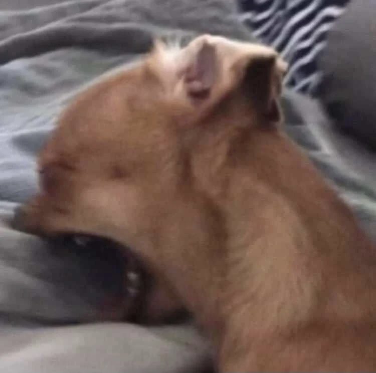 Charlotte Yoink tweet media