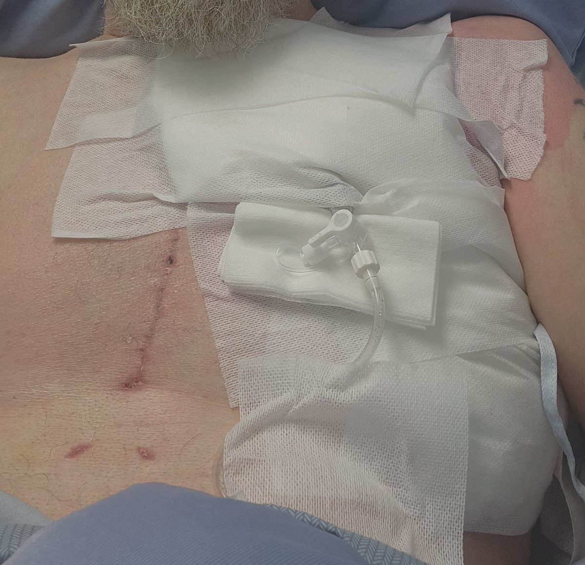 DGTLONE ⬛⛏️🦍 tweet media