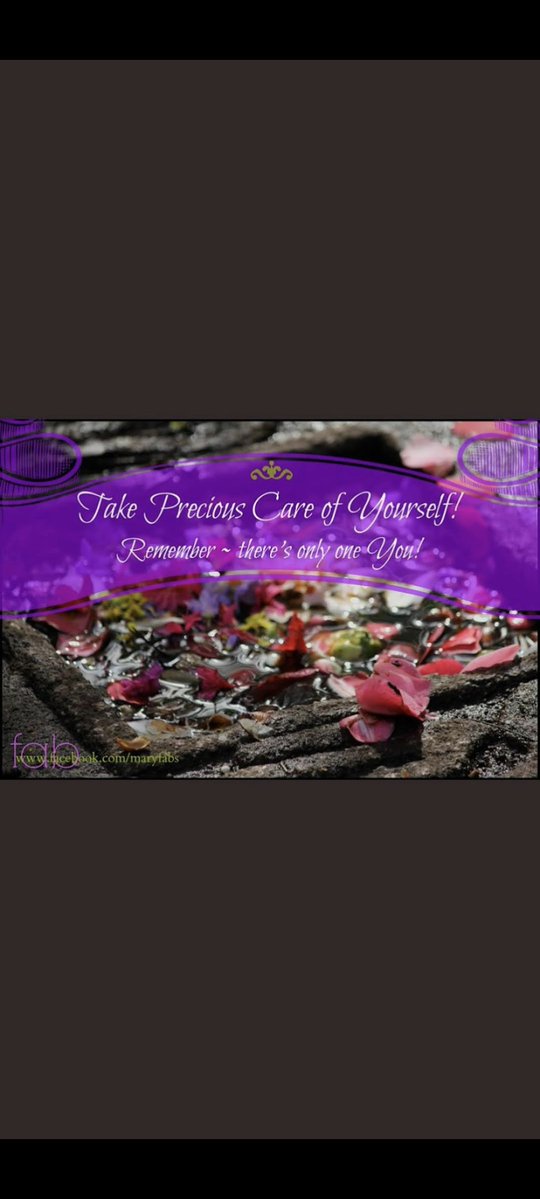 💙#RANGERCAT P J S M 💛 🌻 tweet media