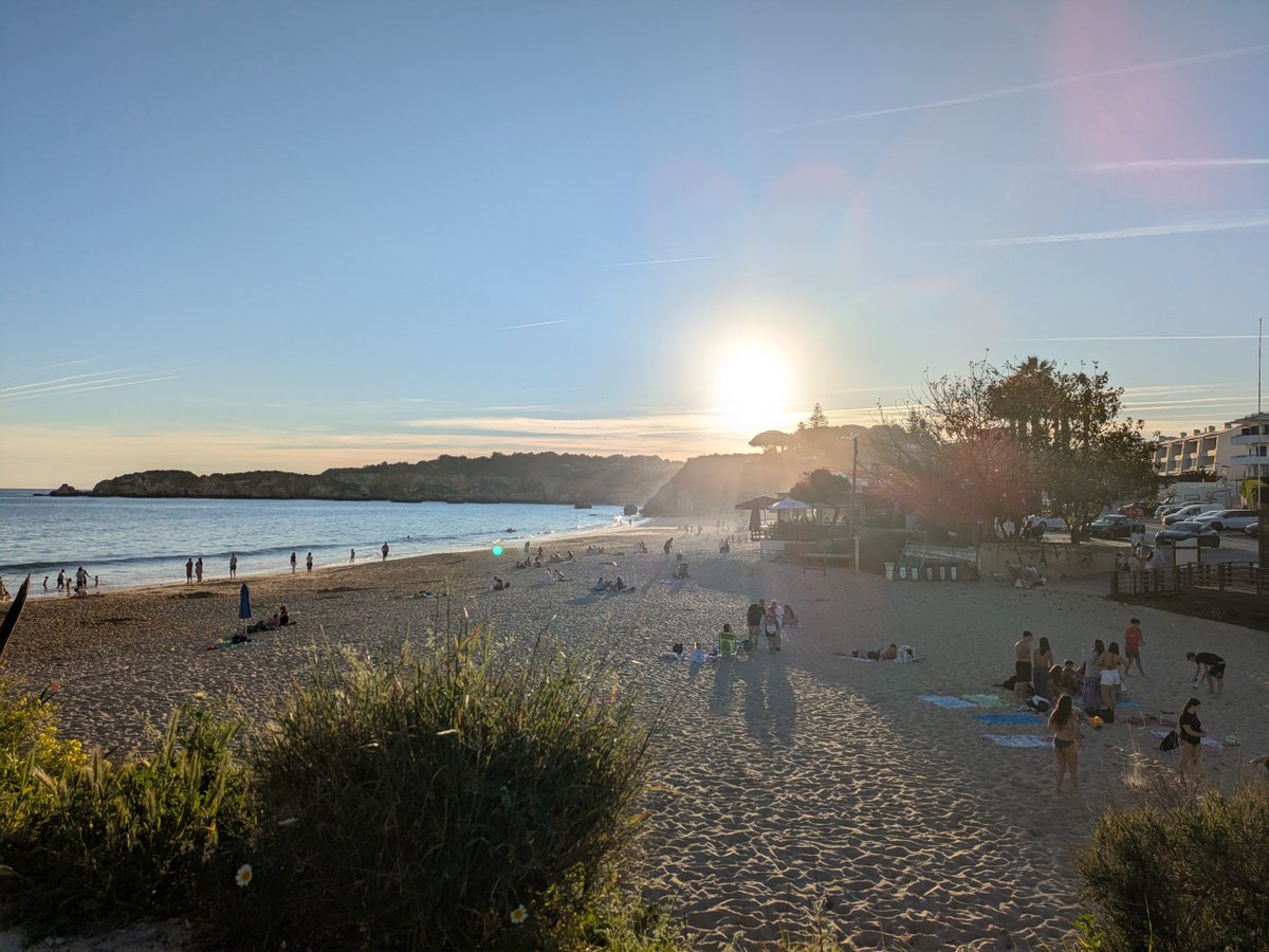 Sandra | Sunshine tweet media