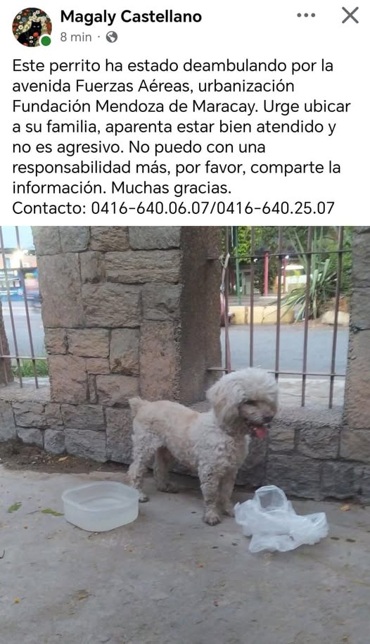 CASO DE TERCEROS MARACAY