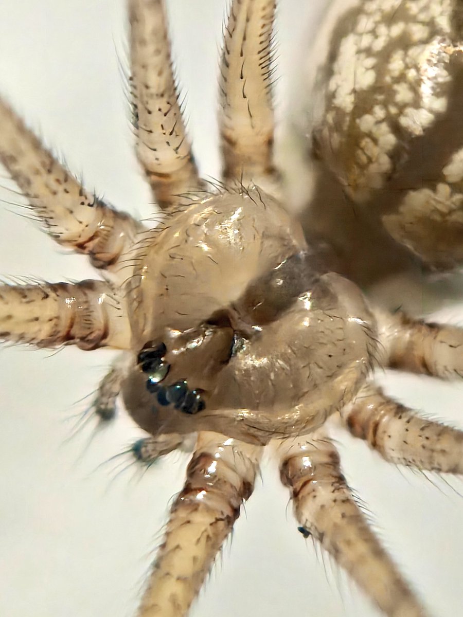 Sai Krishna tweet media