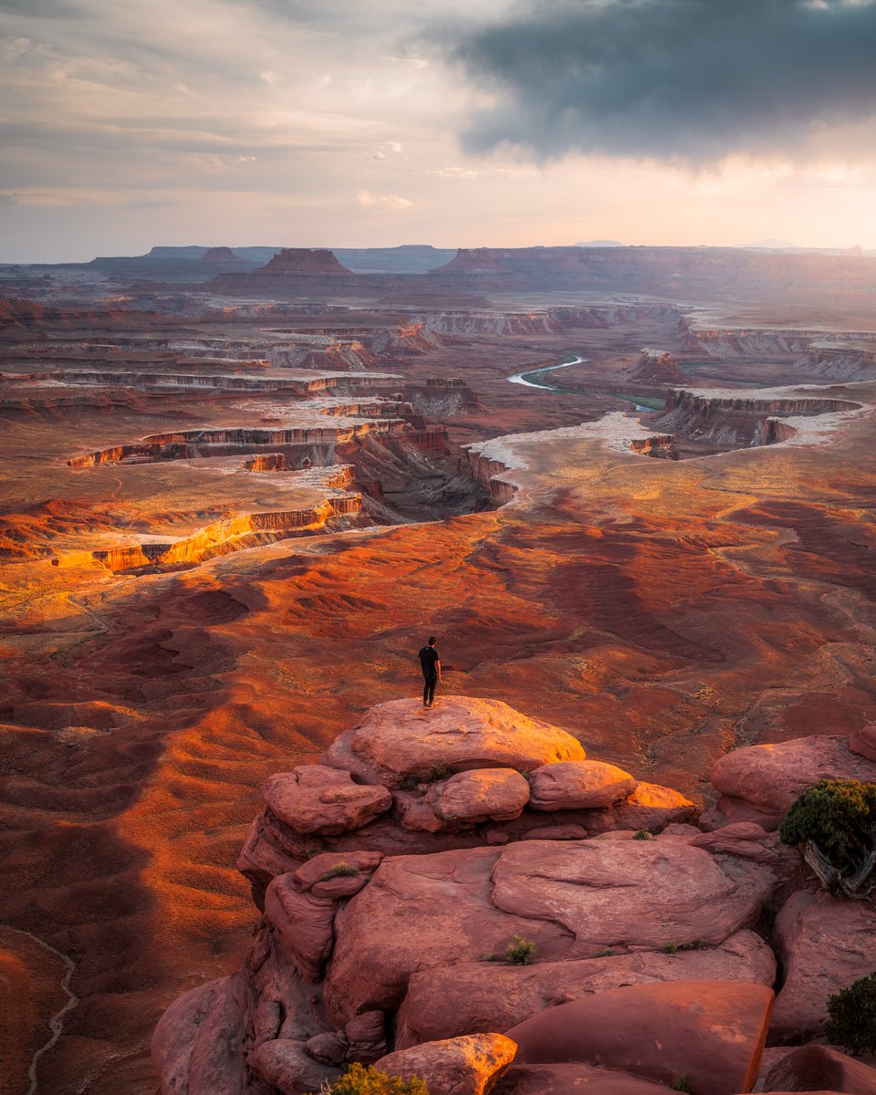 The Earth tweet media