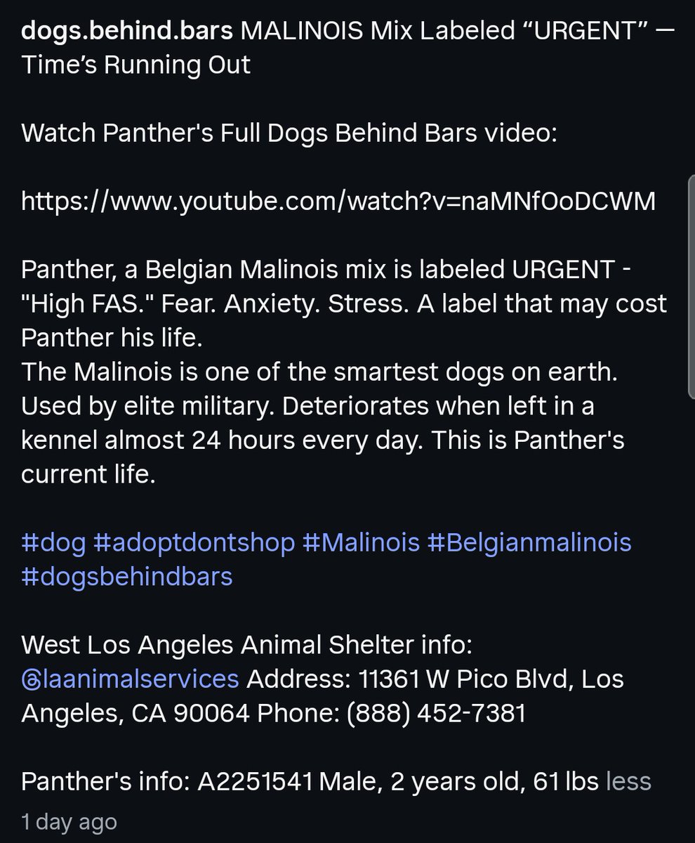 Foster a shelterpet at ZERO COST🐾 tweet media