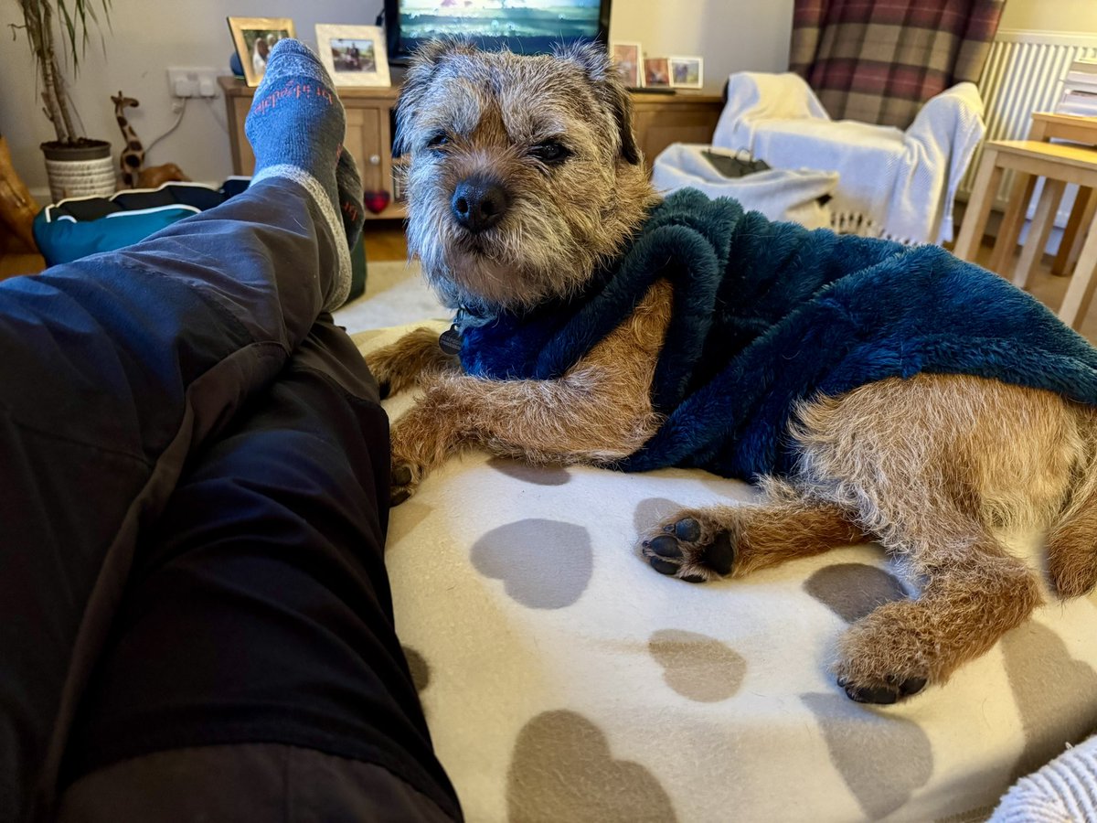 Lord Culter BT 🏴 Order of the IT tweet media