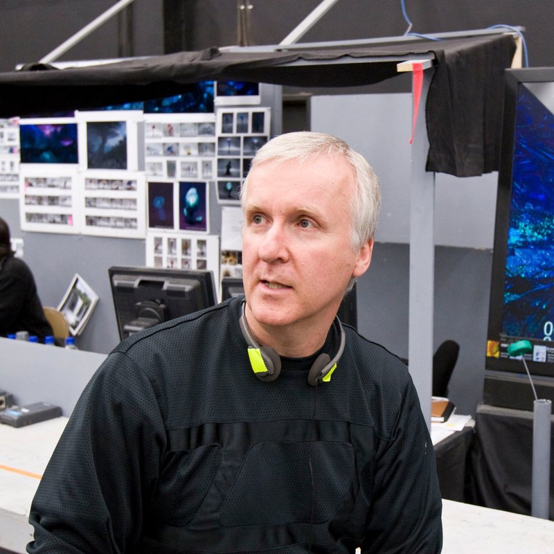 Fandom Pulse tweet media