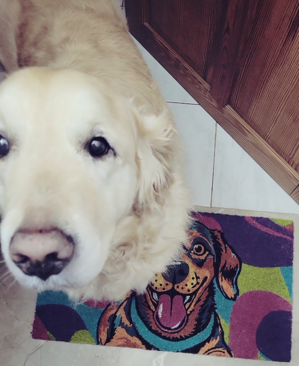 🌟ElbasurX🌟 tweet media