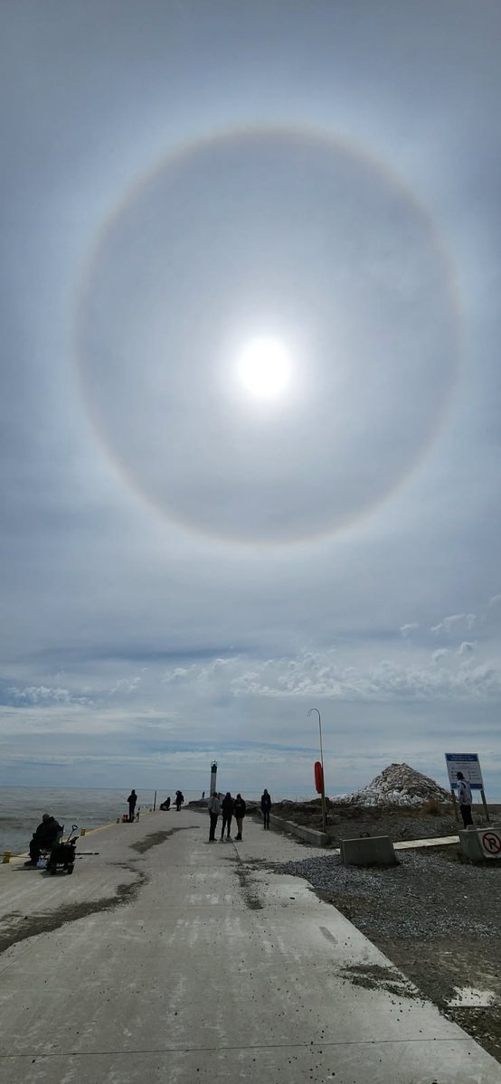 Tim Taylor tweet media