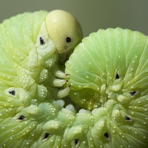 hawa ï๑ tweet media