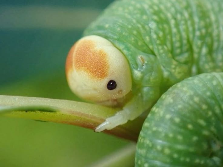 hawa ï๑ tweet media