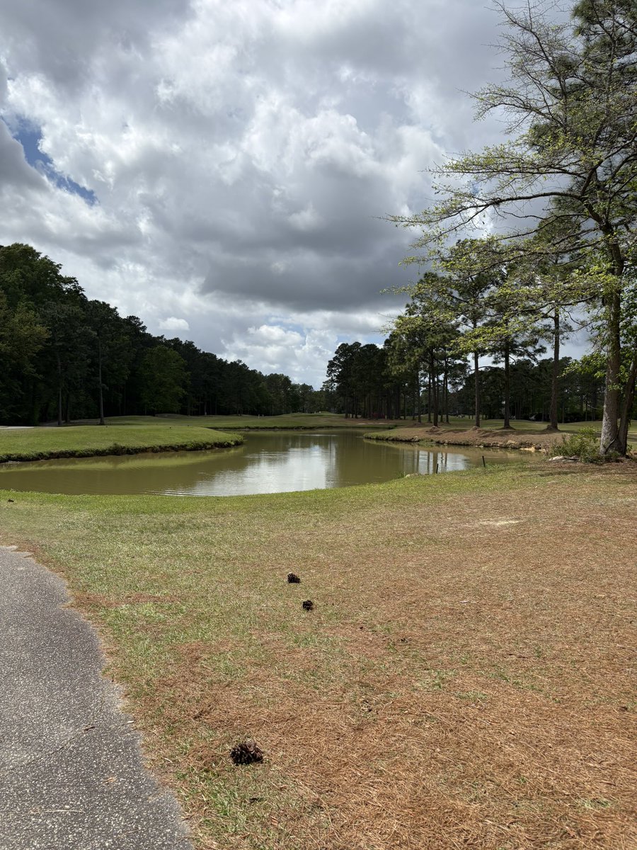 General Will tweet media