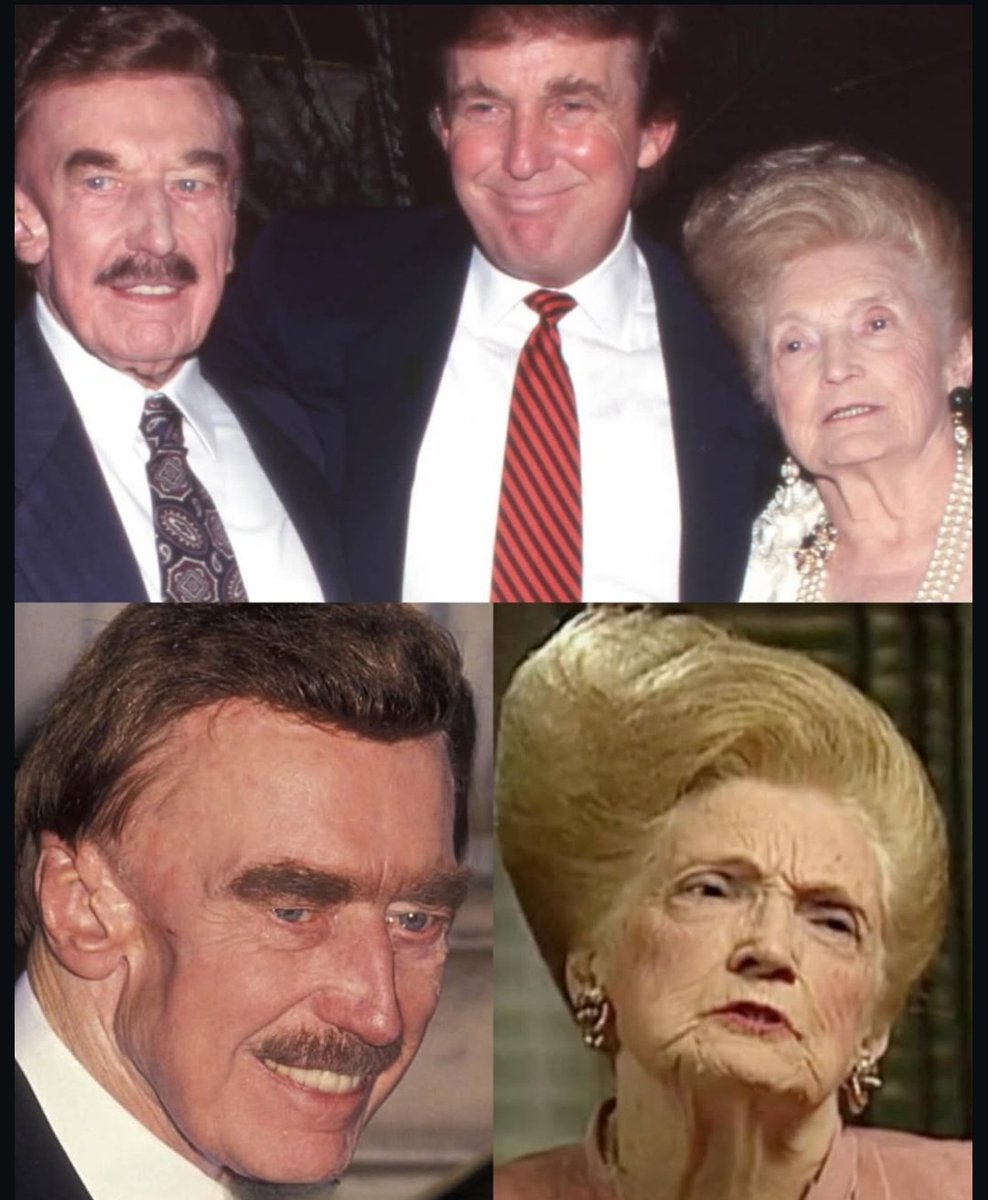 Tolaroid tweet media