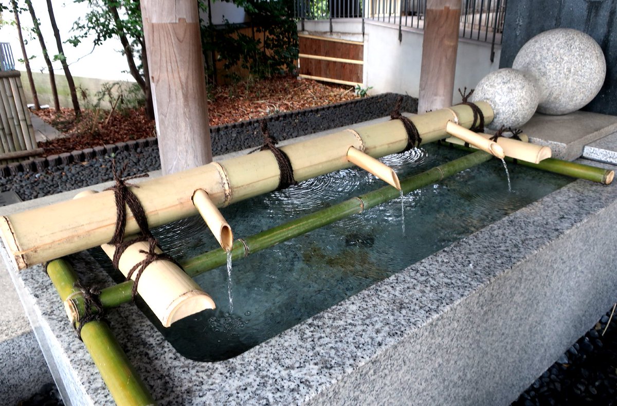 ぱんちょす＠今年もガンバります！な街バカ☆ tweet media