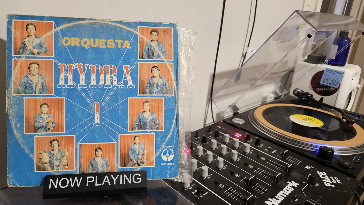 where did she fly tweet media