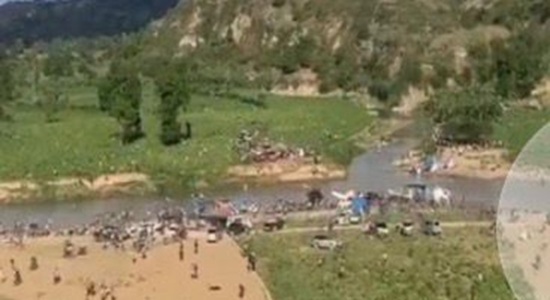 Descorides tweet media