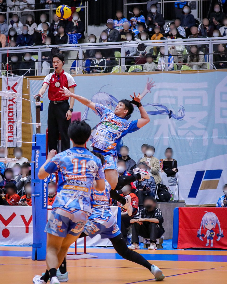 羽毛ふとん tweet media