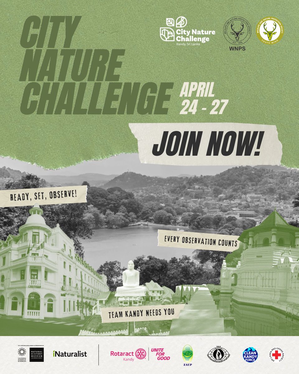 wnpssl's tweet photo. Ready to put our city on the map? 🌏 Registration is open for the #CityNatureChallenge!

From April 24–27, join a global movement to document local biodiversity
https://t.co/4xeF52s7Zg https://t.co/TZKscu01He