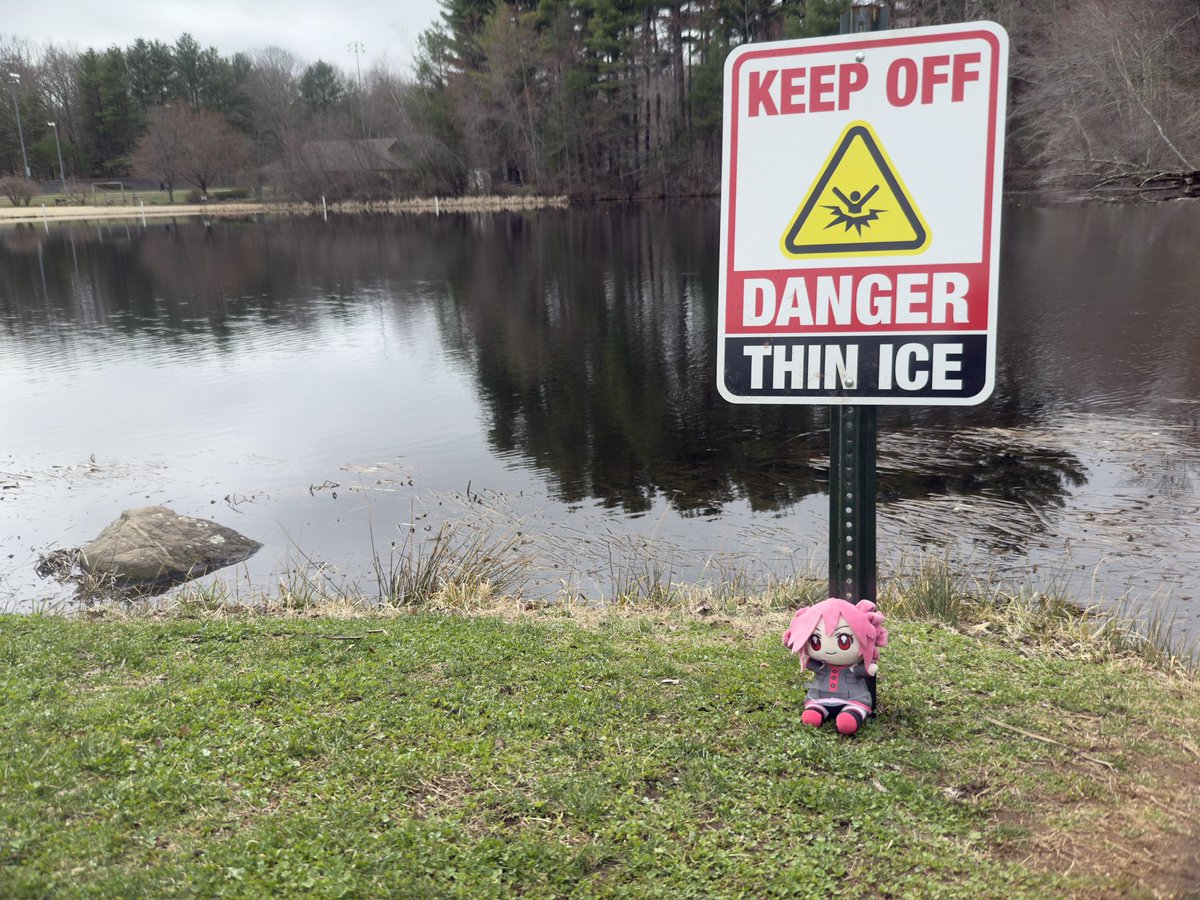 Hi Shawn tweet media