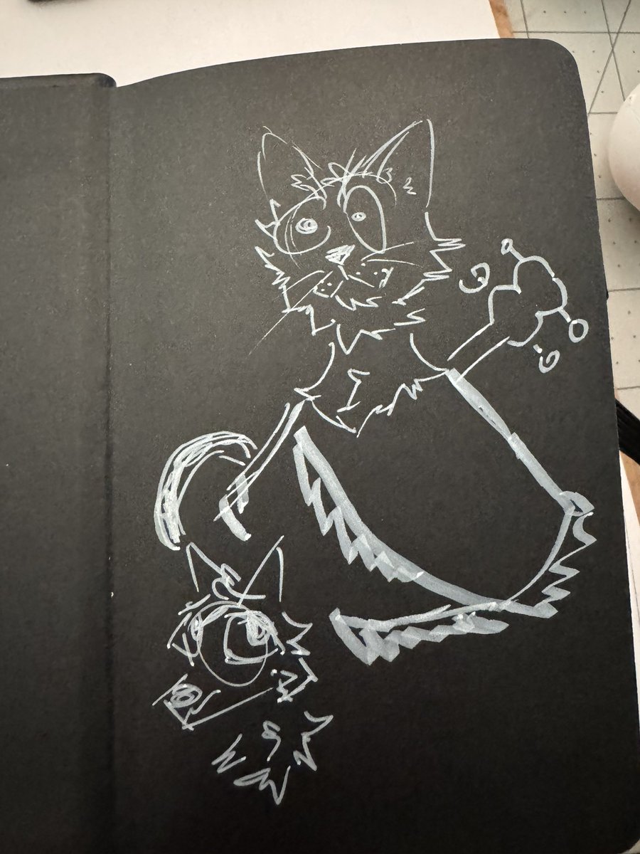 saint_finn tweet media