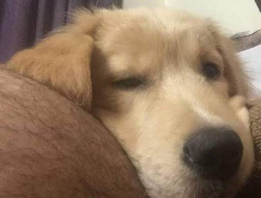 مُعاذ العسيري tweet media