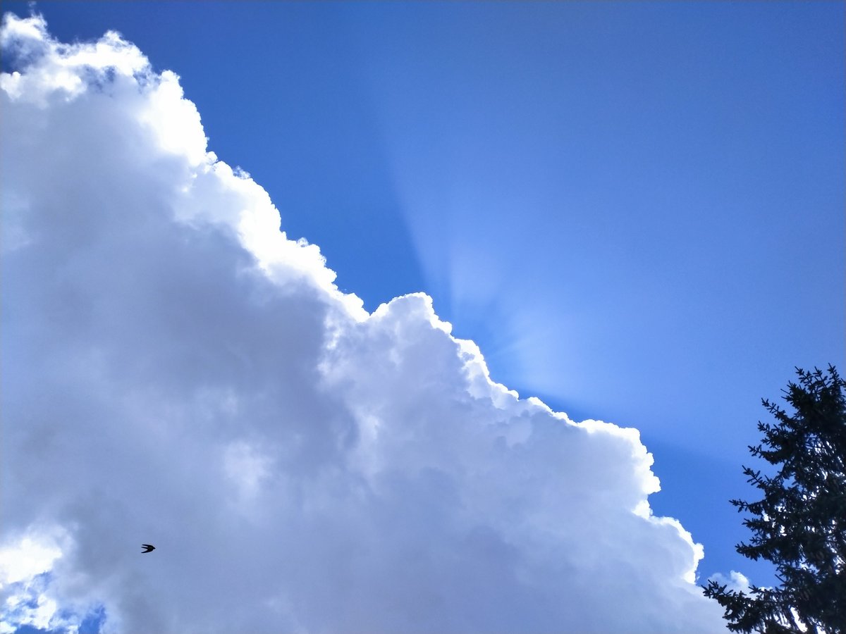 Karim Michel Vous Parle tweet media