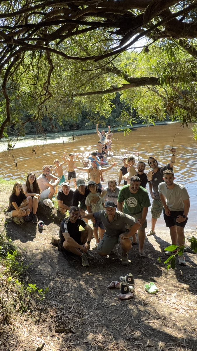 Alejandro Solsona tweet media