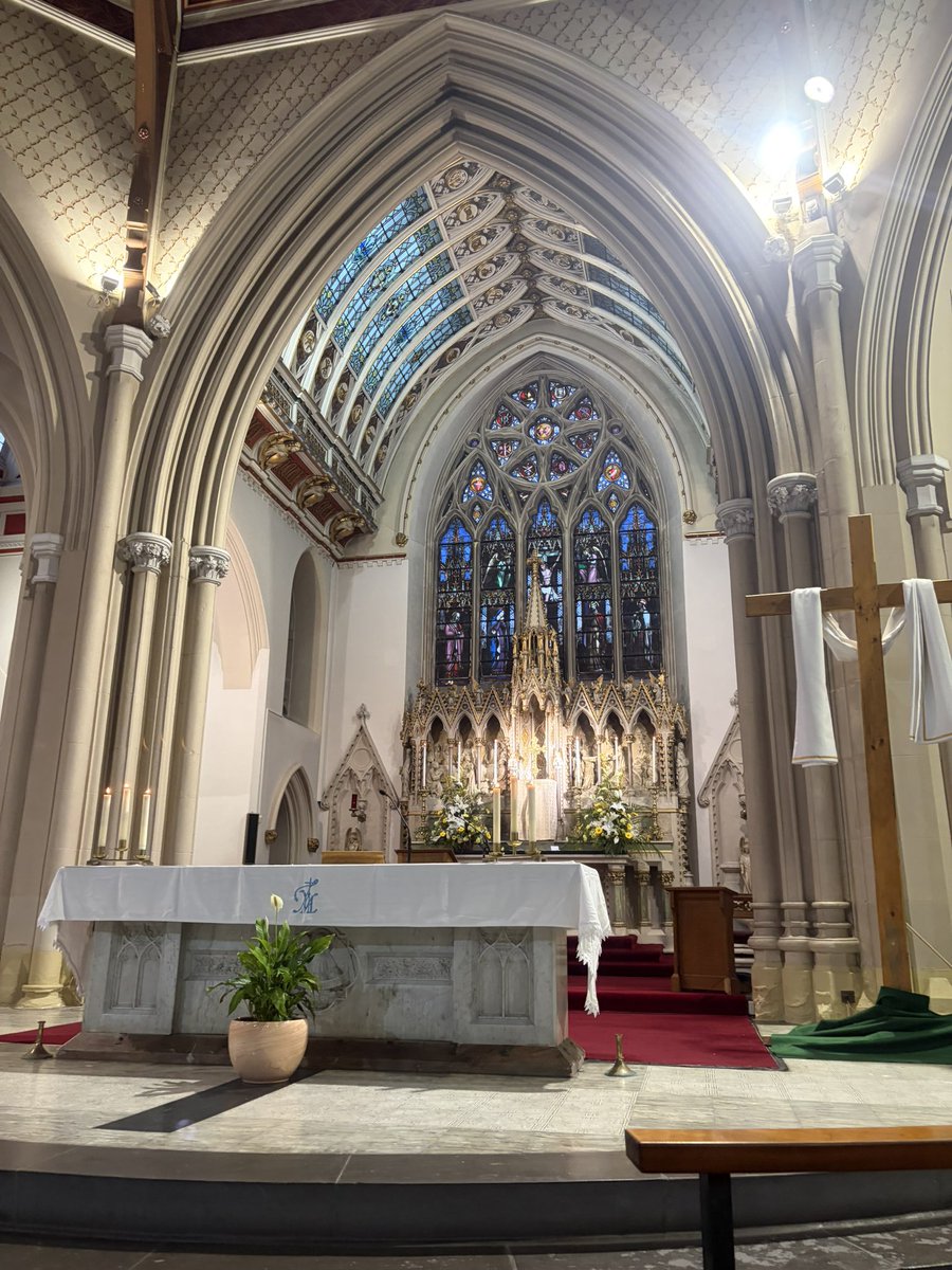 karolina tweet media