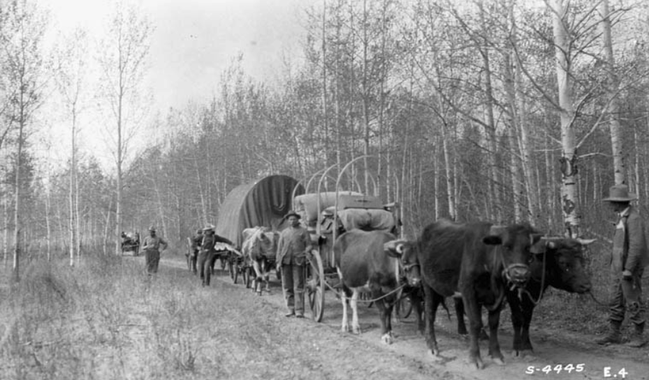 The Reclamare tweet media