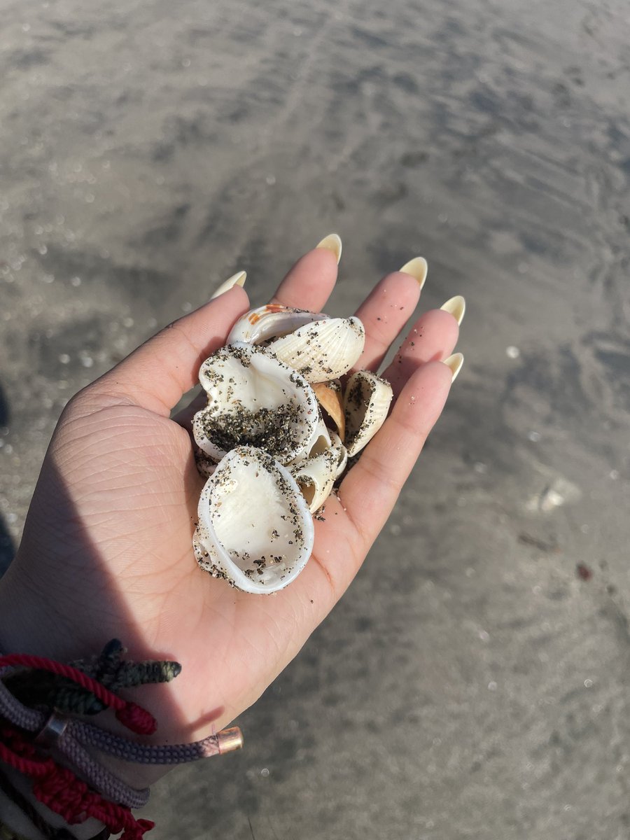 Dulcitodcoco11's tweet photo. 🌸🥥🦀🧜🏻‍♀️ https://t.co/cSizUlJx1Y