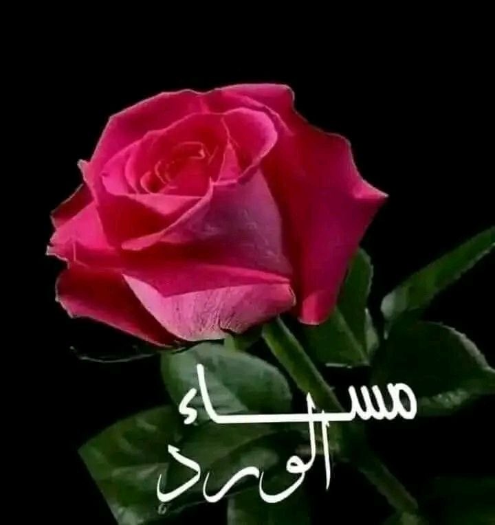 هَم̷س̷ة ع̷ٍط̷ُر ﮧ🦋 tweet media