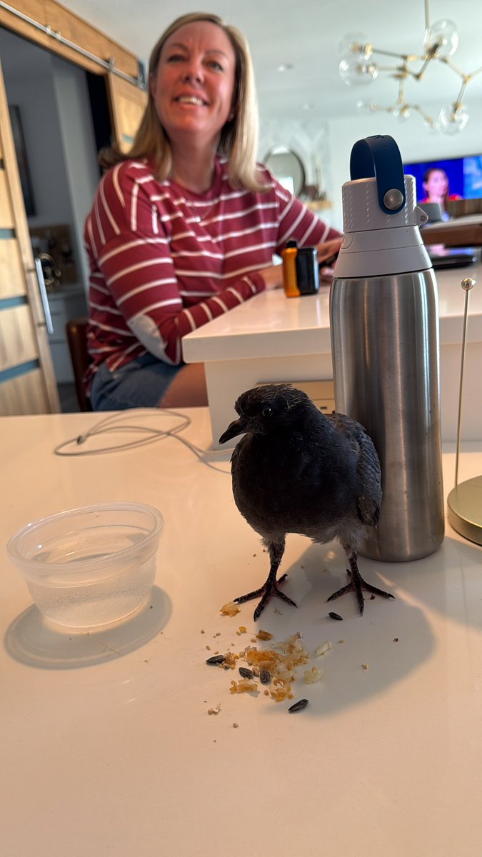 Southern Cross 🇺🇸✈️ tweet media